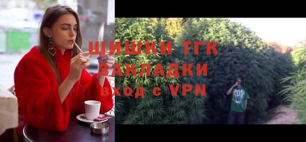 ПСИЛОЦИБИНОВЫЕ ГРИБЫ Горняк