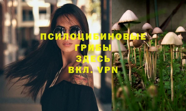 apvp Горнозаводск