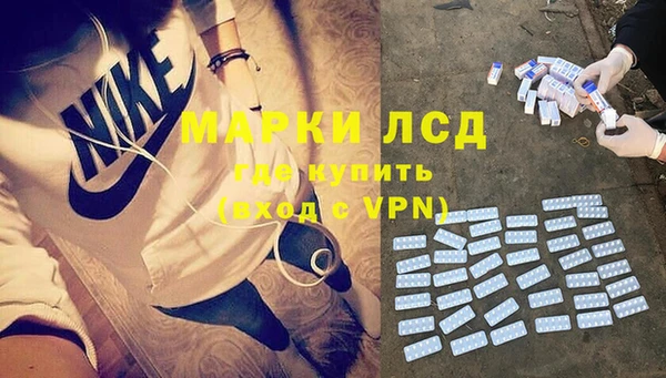 ПСИЛОЦИБИНОВЫЕ ГРИБЫ Горняк